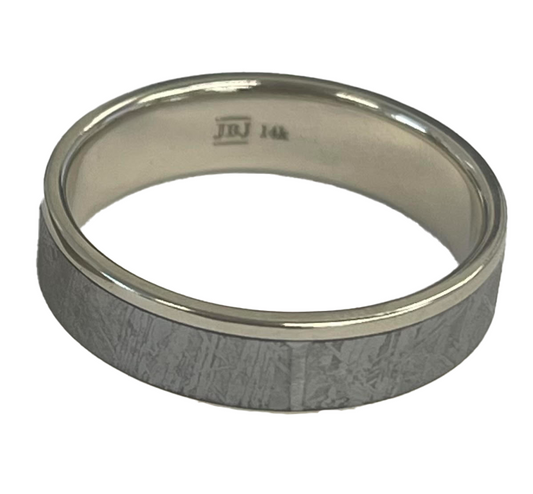 14K White Gold Men's Meteorite Wedding Band