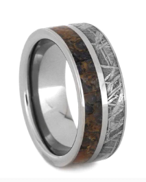 Meteorite & Dinosaur Fossil Titanium Ring